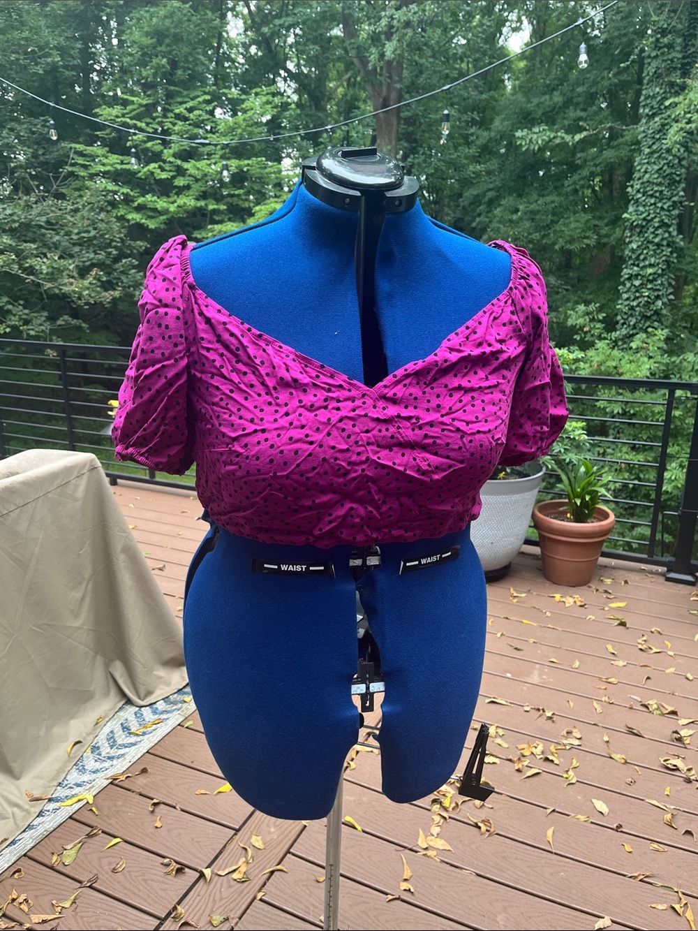 wild fable Magenta Eyelet Puff Sleeve Crop Top